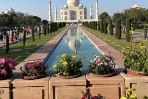 3-päivä: Golden Triangle Getaway Goalta lentäen