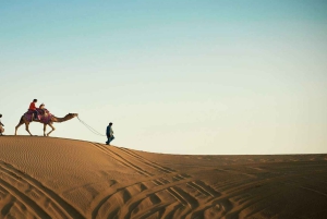 3 Days Ajmer & Pushkar Pilgrimage Tour (By Train/Car)