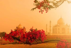 3 Days Golden Triangle Tour From Delhi