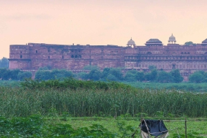 Excursion de 3 jours au Triangle d'Or depuis Delhi