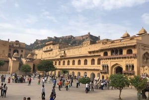 Delhi: 3 päivän ylellinen Kultaisen kolmion kiertomatka hotellivaihtoehtojen kanssa