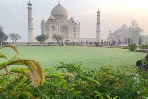 Delhi: 3-dagers luksustur i Det gylne triangel med hotellalternativer