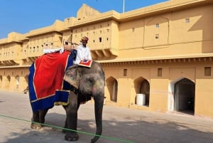 3-dages privat tur til Den Gyldne Trekant, Agra og Jaipur fra Delhi