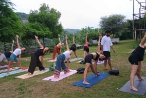 3 timmars privat yoga- och meditationstur i Jaipur