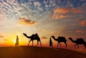 Jaisalmer: 4-dages Jaisalmer- og Jodhpur-tur med kameltur
