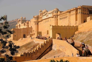 Tour Privado de Lujo de 4 Días por el Triángulo de Oro desde Delhi
