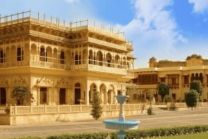 Visite de luxe de 4 jours du Triangle d'Or et safari des tigres de Ranthambore