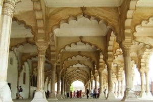 5 dagars gyllene triangeln i Indien