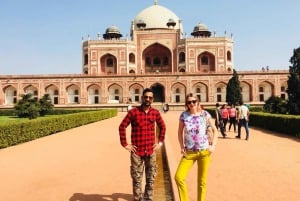 5 dagars gyllene triangeln i Indien