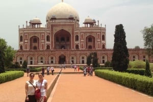 5 dagars gyllene triangeln i Indien