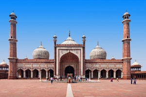 New Delhi: 5-Day, 4-Night Delhi, Mathura, Agra & Jaipur Tour