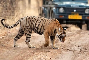 Tour privato di 5 giorni Delhi Agra Jaipur con safari del leopardo