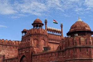 5 dages privat rundrejse i Delhi, Agra og Jaipur med leopardsafari