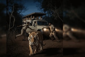 ゴールデン・トライアングル5日間ツアー（ランタンボルのトラサファリ）をご案内します