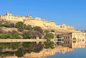 Tour particular de 5 noites e 6 dias pelo Triângulo Dourado com safári em Jhalana