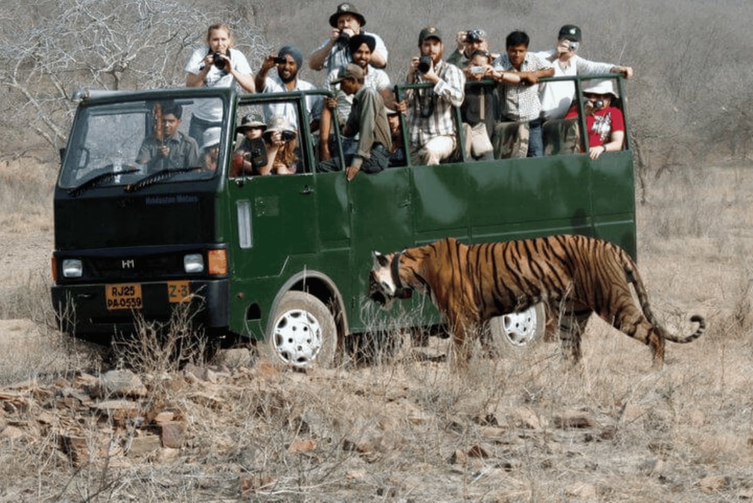 Visite de 6 jours du Triangle d'or avec safari tigre à Rathambhore