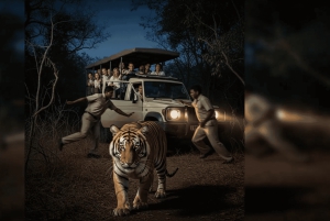 Visite de 6 jours du Triangle d'or avec safari tigre à Rathambhore