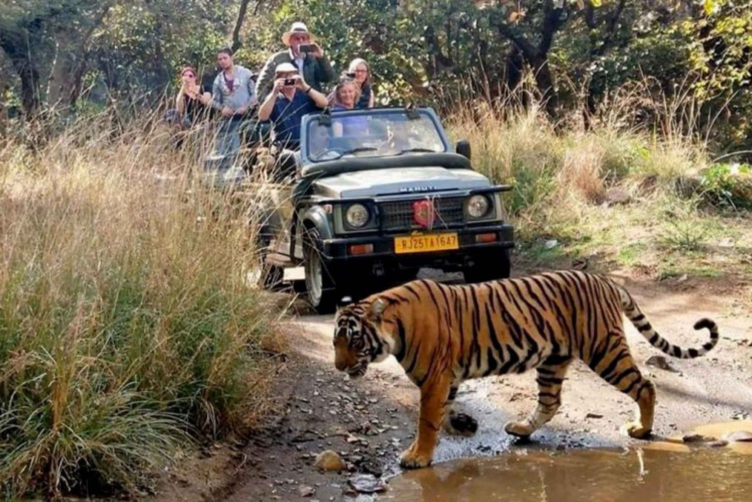 Tour di 7 giorni del Triangolo d'oro con Ranthambore Tiger Safari