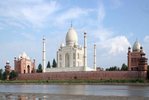 7 days india Taj Mahal tour with ranthambore tiger safari