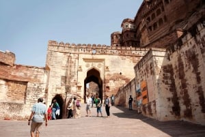 7-dagers tur til Jaisalmer, Jodhpur og Udaipur