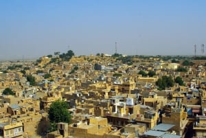 7-dagers tur til Jaisalmer, Jodhpur og Udaipur