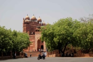 7 Days Private Golden Triangle Tour With Holi Festival 2026