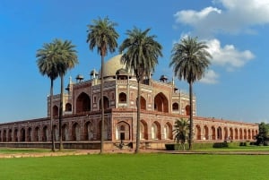 7Day Golden Triangle tour with Varanasi & Tiger safari