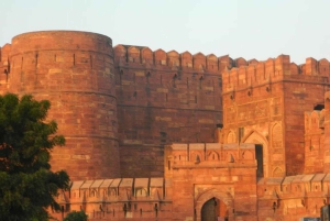 7Day Golden Triangle tour with Varanasi & Tiger safari