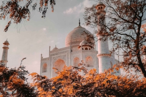 7Day Golden Triangle tour with Varanasi & Tiger safari