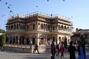 8 - Day Rajasthan Tour, Jaipur, Jaisalmer & Bikaner