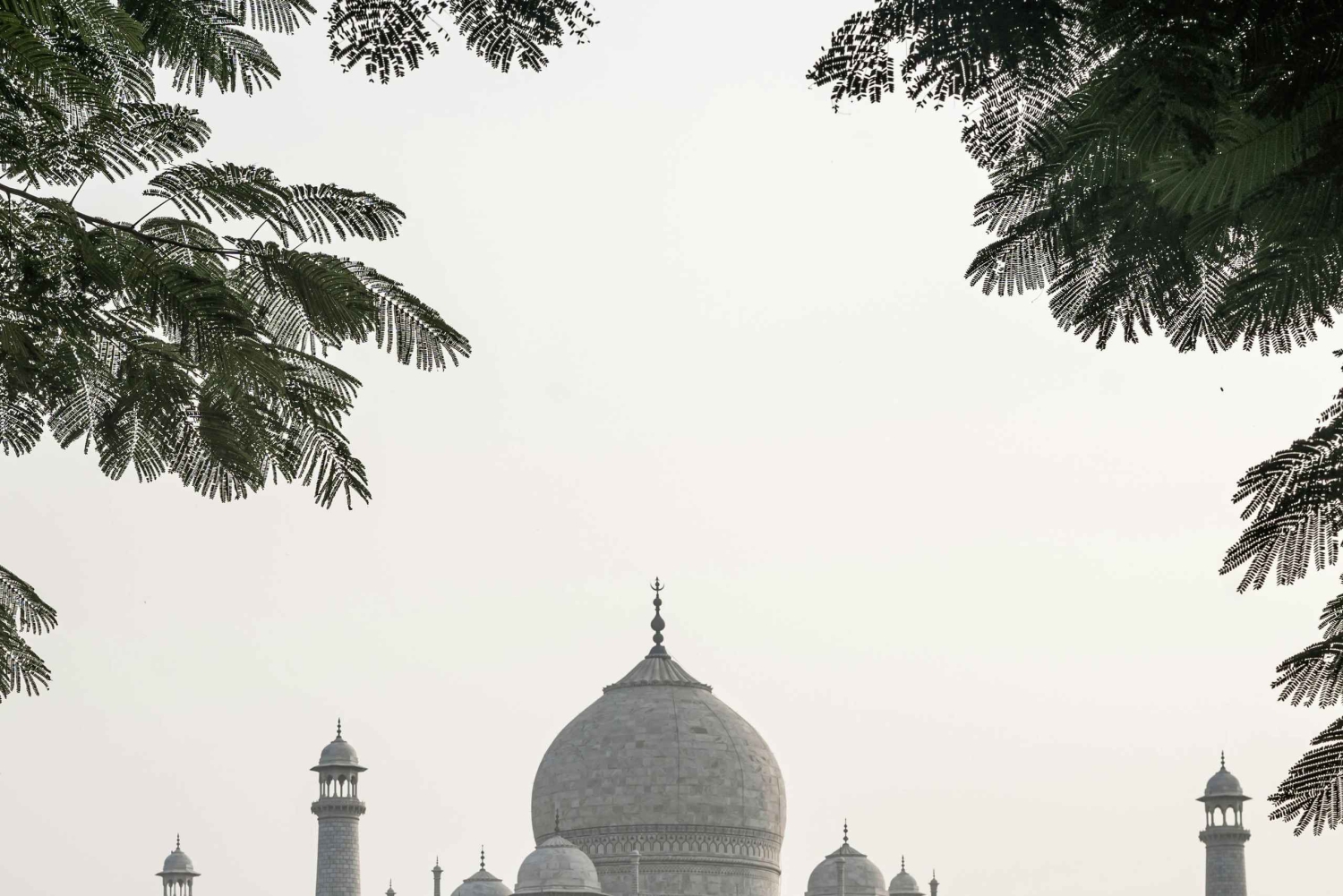 8-dages tur: Agra, Jaipur og Jaisalmer