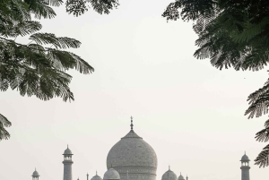 8-dages tur: Agra, Jaipur og Jaisalmer