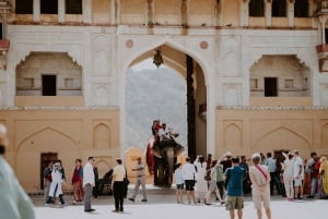 8 Days Private Golden Triangle Tour with Amritsar City