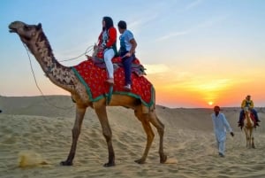 8-dagers Rajasthan-tur - Jaipur, Jodhpur, Jaisalmer og Bikaner