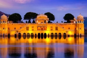 8-dagers Rajasthan-tur - Jaipur, Jodhpur, Jaisalmer og Bikaner