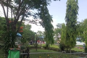 9-dagars Mardi Himal-vandring med naturskön stadstur i Nepal