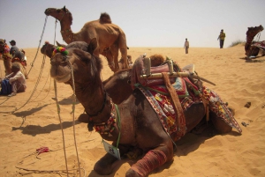 9 Days Rajasthan Tour: Jaipur, Jodhpur, Jaisalmer & Udaipur