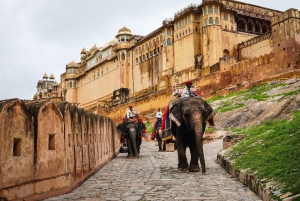 9 dagers tur i Rajasthan: Jaipur, Jodhpur, Jaisalmer og Udaipur