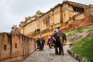 9 - Päivien vierailu Intian Kultainen kolmio -matka Varanasin kanssa