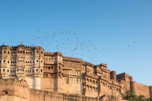 9 Golden Triangle Tour with Jodhpur and Pushkar on Motorbike