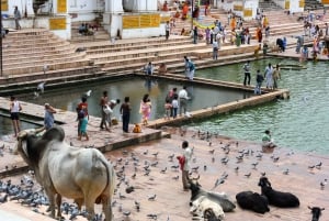 9 Golden Triangle Tour with Jodhpur and Pushkar on Motorbike