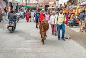 A Day Trip of Pushkar From Jaipur