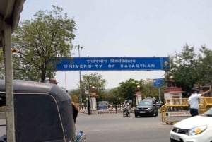 Jaipur: Monkey Temple, Sightseeing City Tour by Car /Tuk Tuk