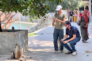 Visite à pied l'après-midi - La route de Pushkar