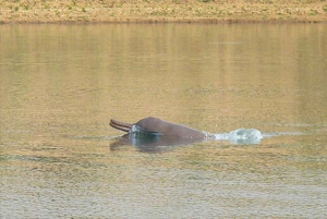 Agra kehyksessä: marmorin majesteettisuudesta joen mystiikkaan