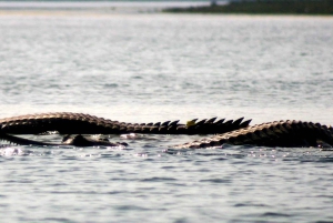 Agra kehyksessä: marmorin majesteettisuudesta joen mystiikkaan