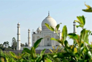 Agra: Inträdesbiljett till Taj Mahal för utlänningar och indier