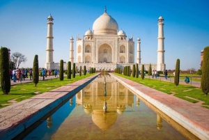 Agra: Inträdesbiljett till Taj Mahal för utlänningar och indier