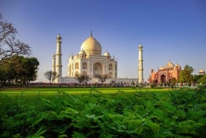 Agra: Taj Mahal & Mausoleum Skip Køen-tur med valgmuligheder