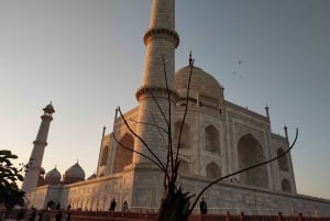 Agra: Taj Mahal Guided Tour with Photographer & Rental Saree
